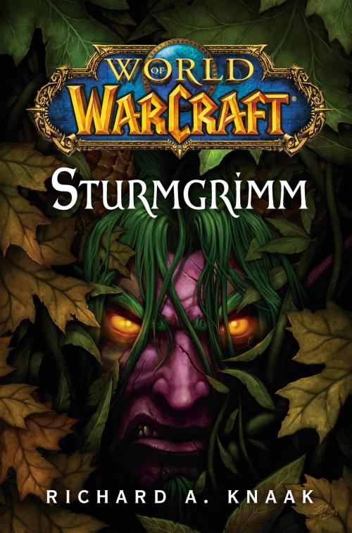 Cover of the book World of Warcraft: Sturmgrimm by Richard A. Knaak, Panini