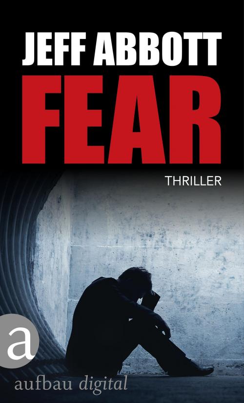 Cover of the book Fear by Jeff Abbott, Aufbau Digital