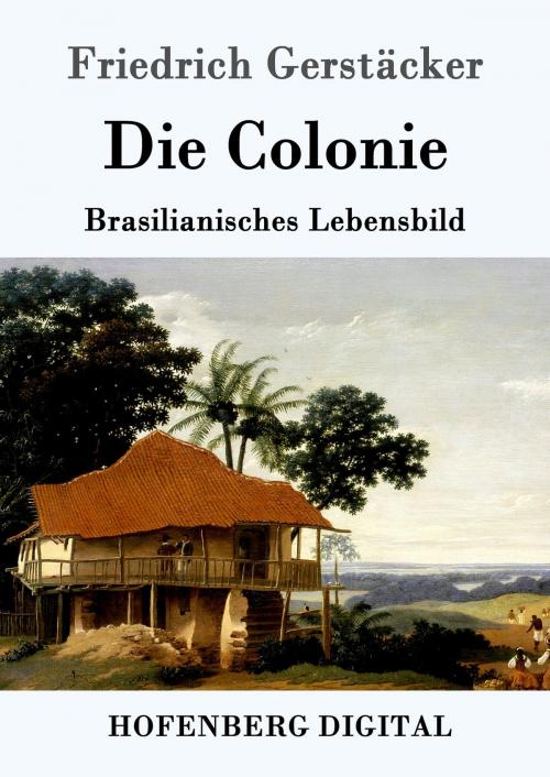 Cover of the book Die Colonie by Friedrich Gerstäcker, Hofenberg