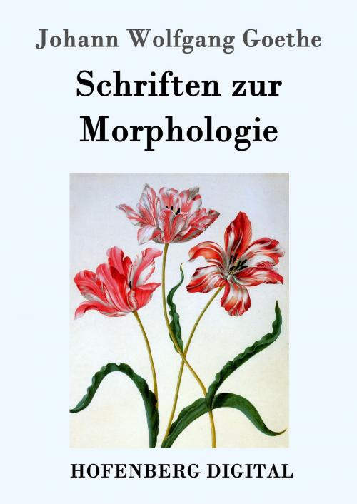 Cover of the book Schriften zur Morphologie by Johann Wolfgang Goethe, Hofenberg