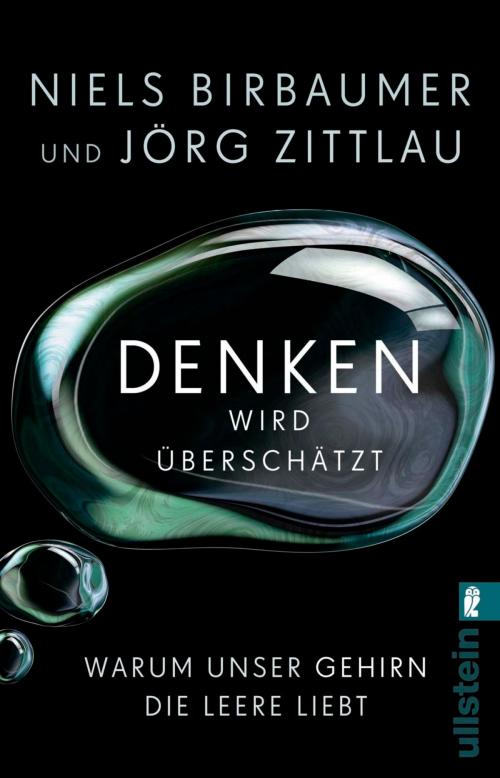 Cover of the book Denken wird überschätzt by Jörg Zittlau, Niels Birbaumer, Ullstein Ebooks