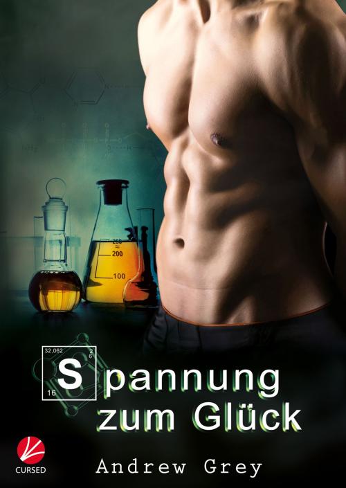 Cover of the book Spannung zum Glück by Andrew Grey, Cursed Verlag