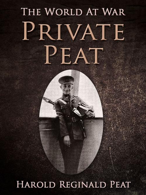 Cover of the book Private Peat by Harold Reginald Peat, Otbebookpublishing
