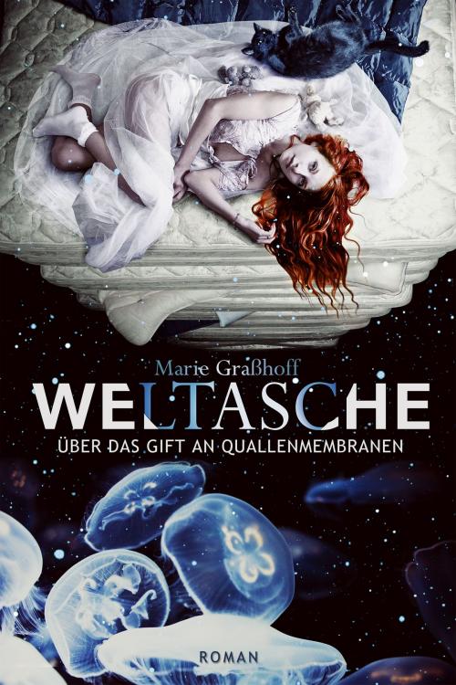 Cover of the book Weltasche by Marie Graßhoff, Drachenmond Verlag