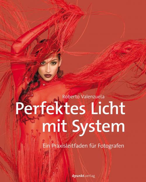 Cover of the book Perfektes Licht mit System by Roberto Valenzuela, dpunkt.verlag