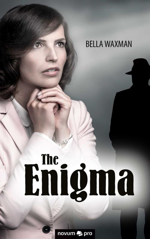 Cover of the book The Enigma by Bella Waxman, novum pro Verlag