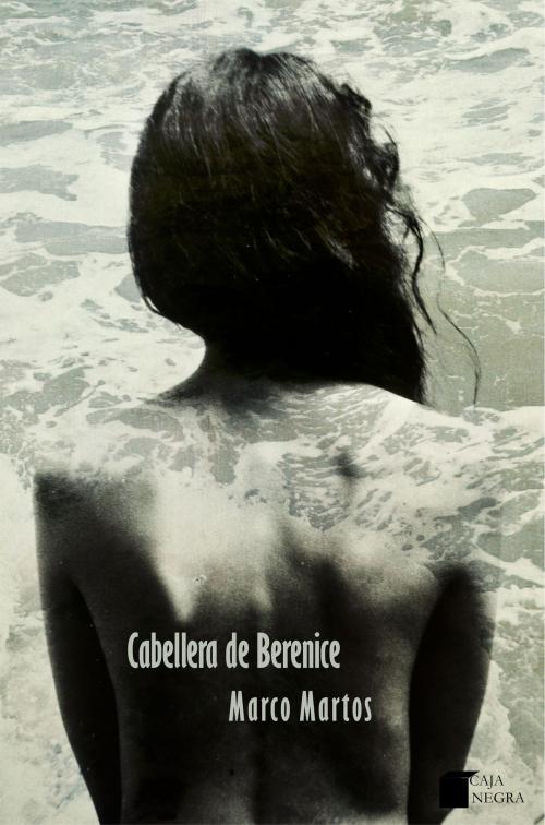 Cover of the book La cabellera de Berenice by Marco Martos, Grupo Editorial Caja Negra