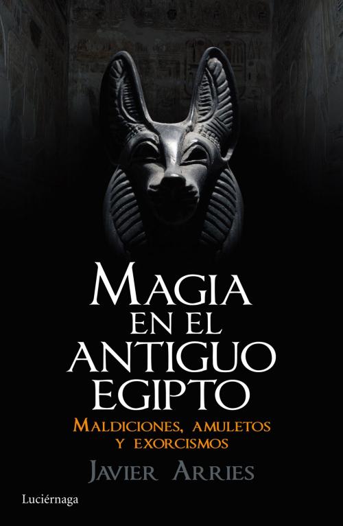 Cover of the book Magia en el Antiguo Egipto by Javier Arries, Grupo Planeta