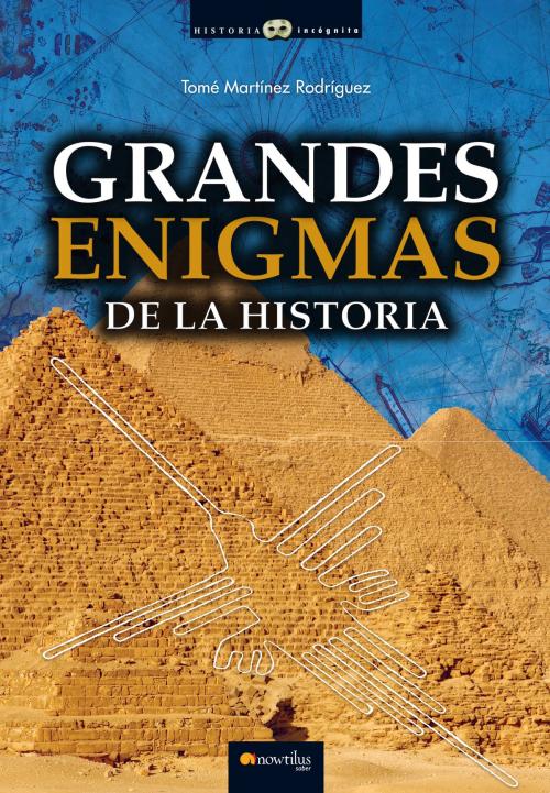 Cover of the book Grandes enigmas de la historia by Tomé Martínez Rodríguez, Nowtilus