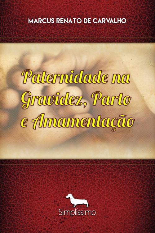 Cover of the book Paternidade na gravidez, parto e amamentação by Marcus Renato De Carvalho, Simplíssimo