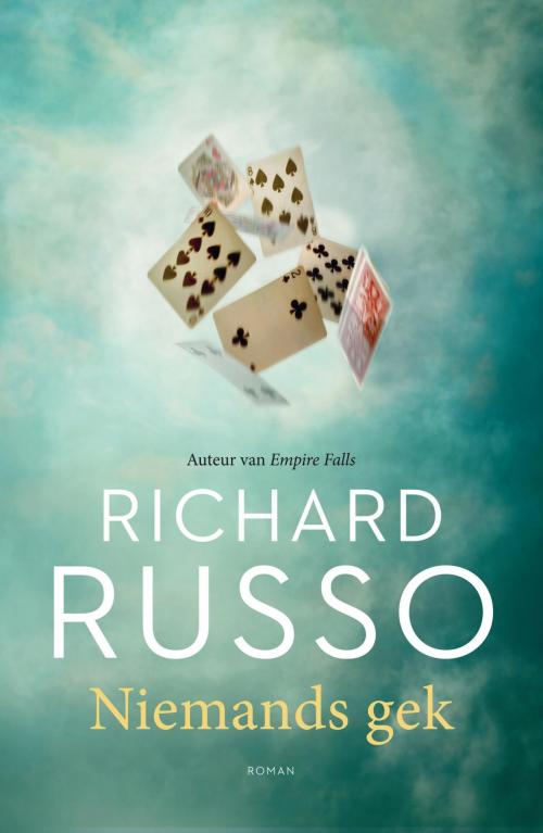 Cover of the book Niemands gek by Richard Russo, Bruna Uitgevers B.V., A.W.