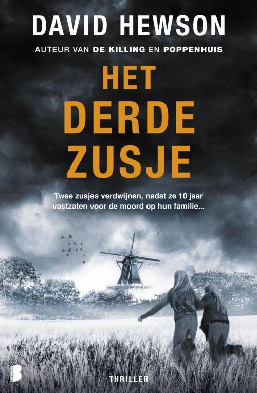 Cover of the book Het derde zusje by David Hewson, Meulenhoff Boekerij B.V.