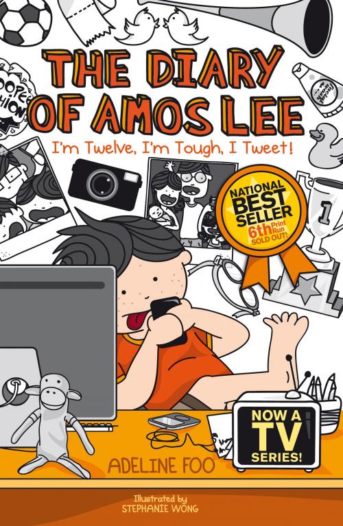 Cover of the book The Diary of Amos Lee by Adeline Foo, Epigram Books