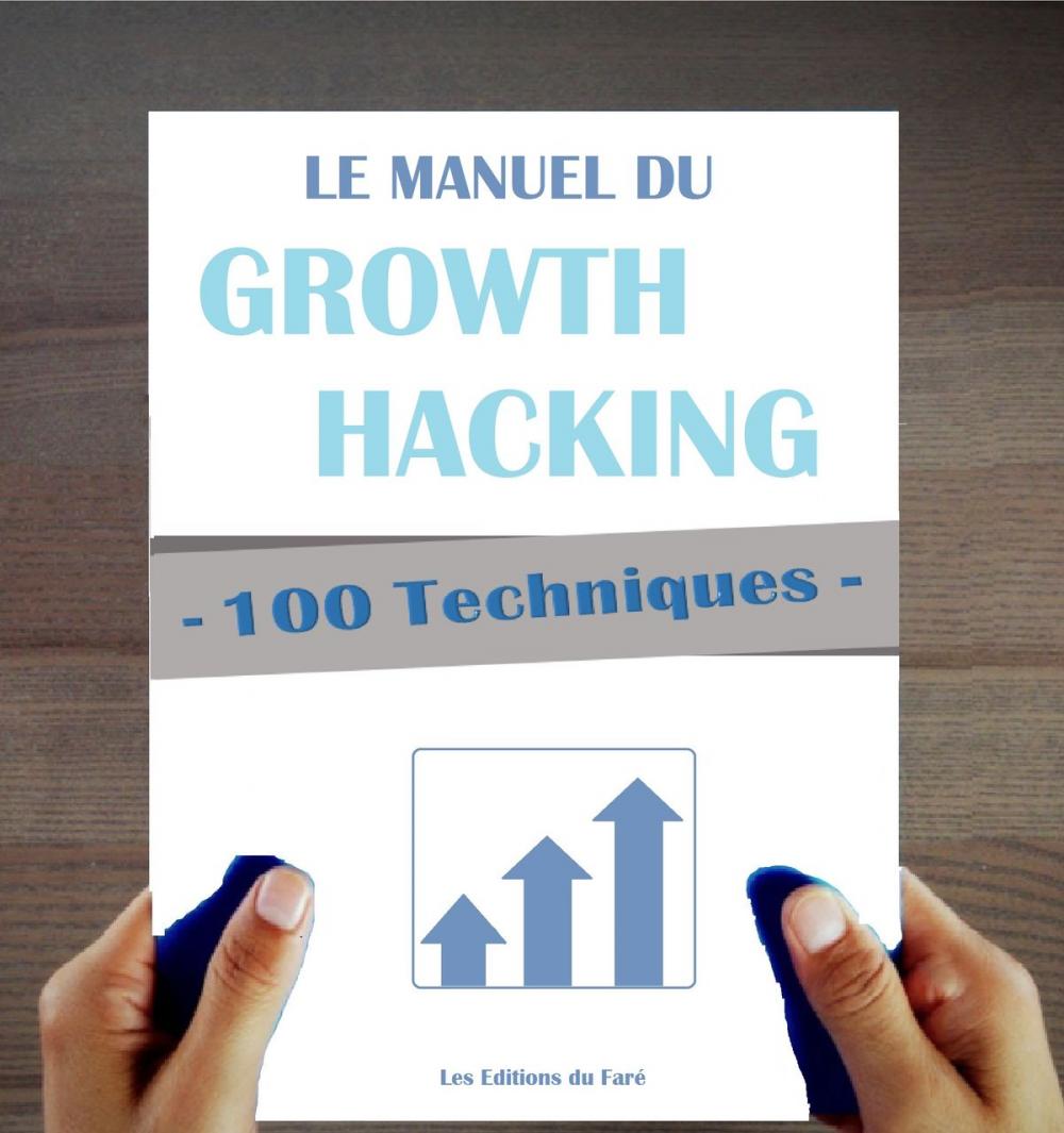 Big bigCover of 100 Techniques de Growth Hacking en français : Le Manuel du Growth Hacking