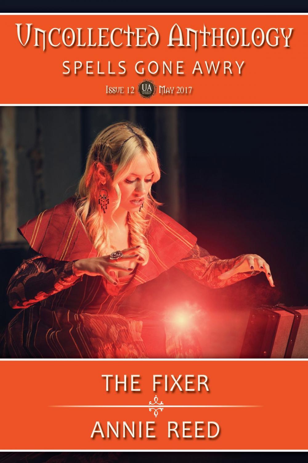 Big bigCover of The Fixer