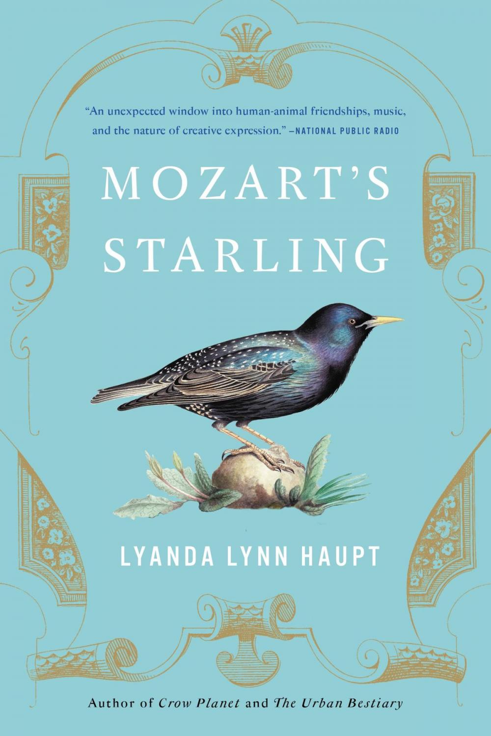 Big bigCover of Mozart's Starling