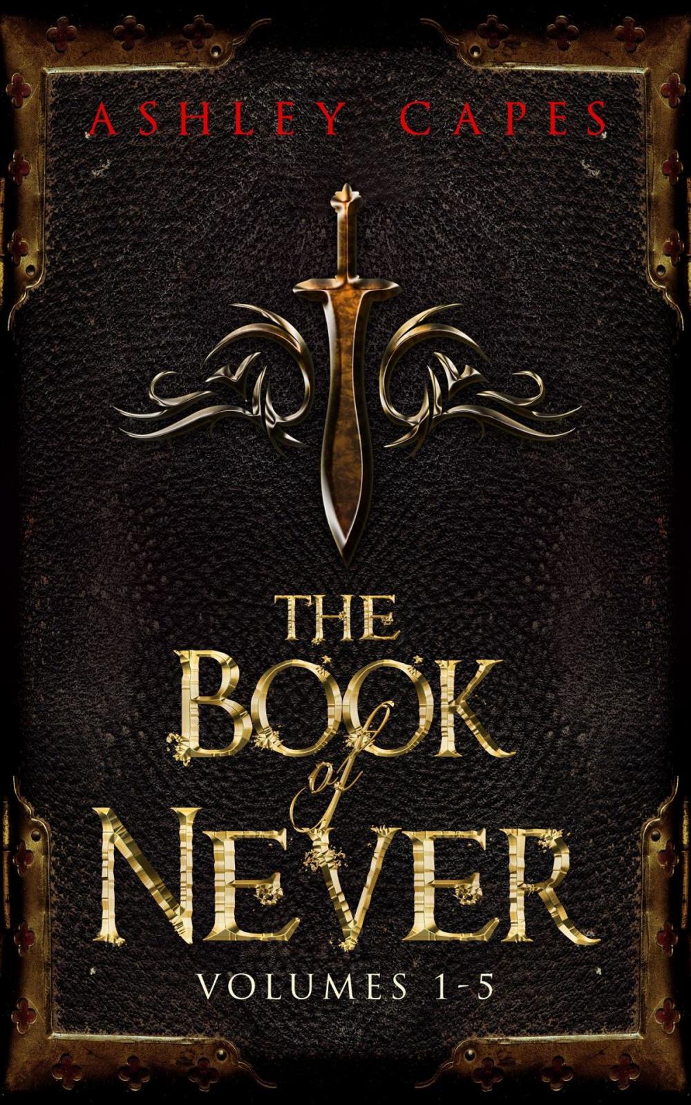 Big bigCover of The Book of Never