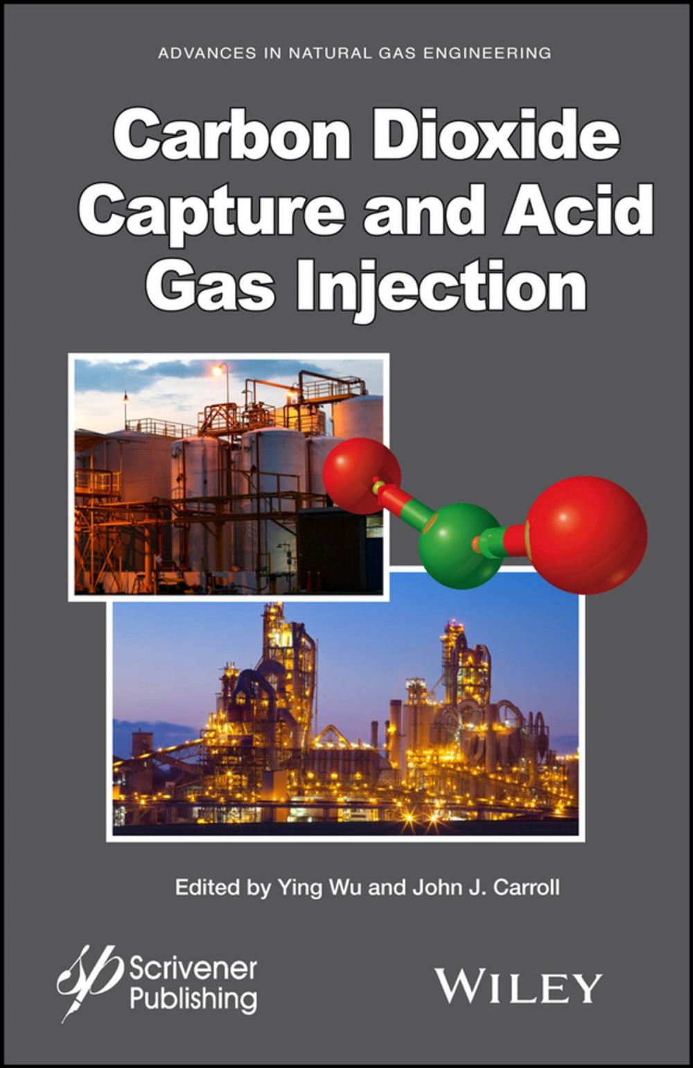 Big bigCover of Carbon Dioxide Capture and Acid Gas Injection