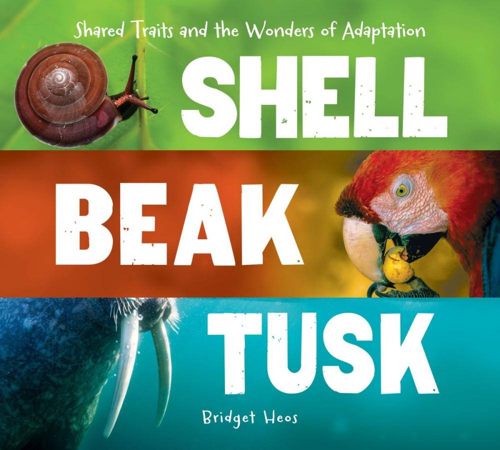 Big bigCover of Shell, Beak, Tusk