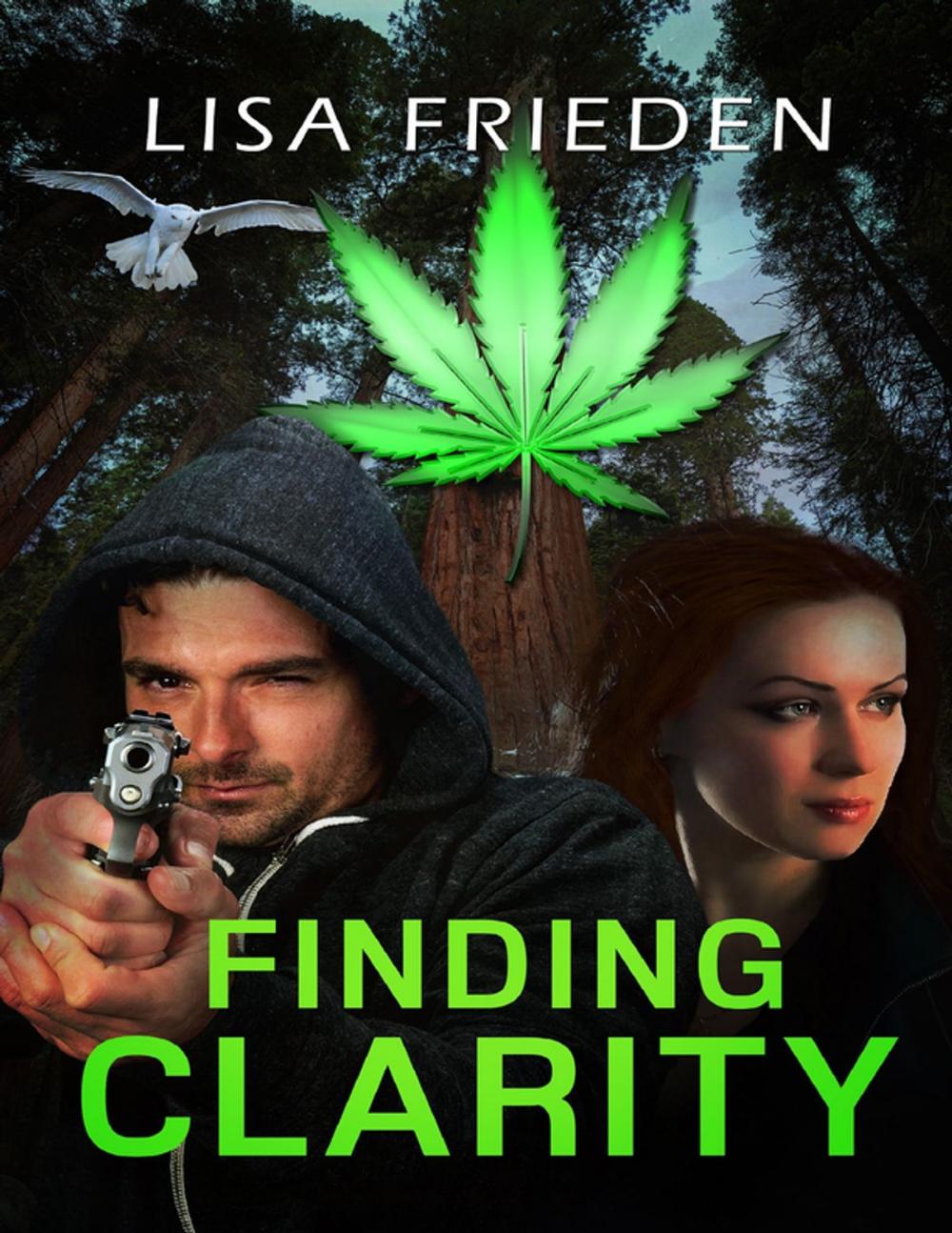 Big bigCover of Finding Clarity