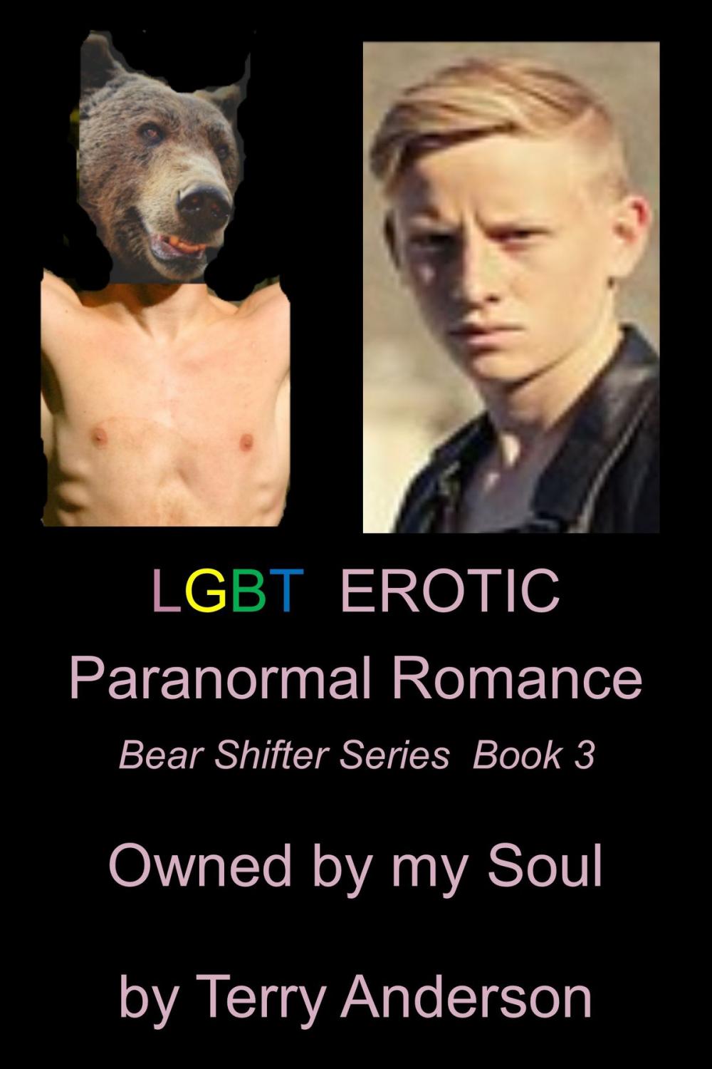 Big bigCover of LGBT Erotic Paranormal Romance Owned by My Soul (Bear Shifter Series Book 3)