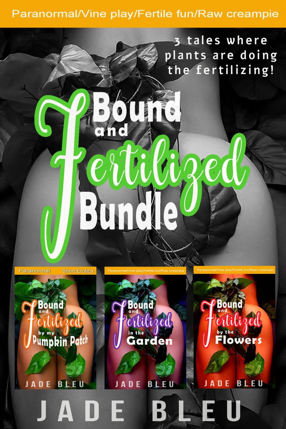 Big bigCover of Bound and Fertilized Bundle