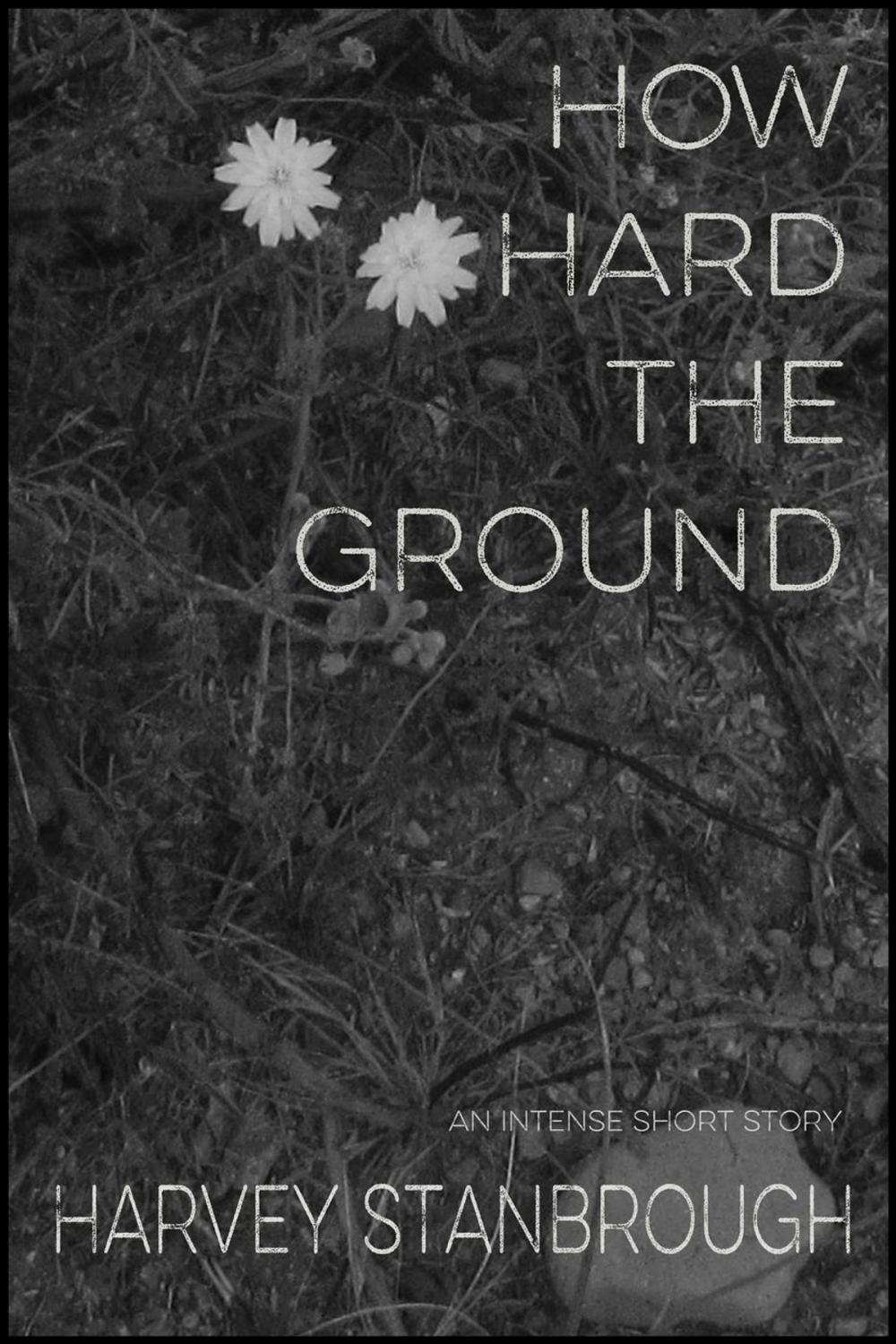 Big bigCover of How Hard the Ground