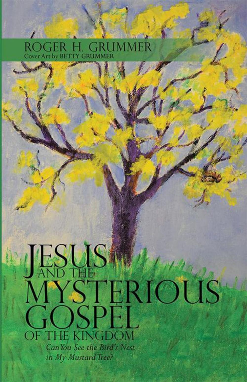 Big bigCover of Jesus and the Mysterious Gospel of the Kingdom