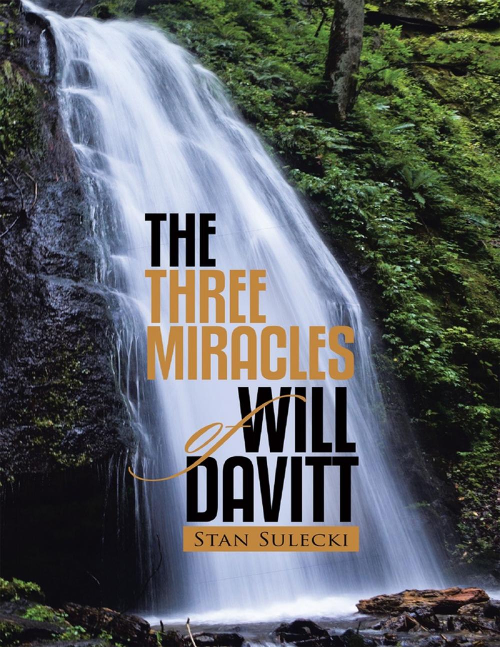 Big bigCover of The Three Miracles of Will Davitt