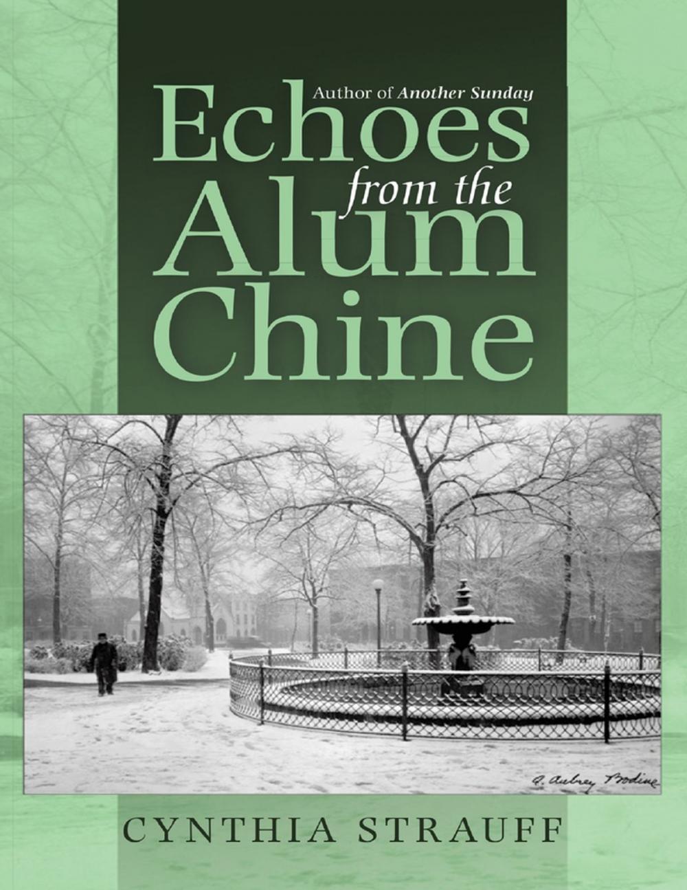 Big bigCover of Echoes from the Alum Chine