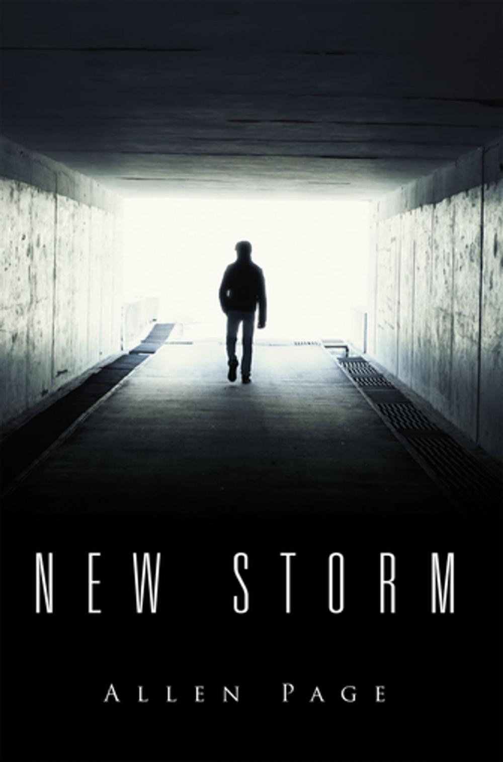 Big bigCover of New Storm