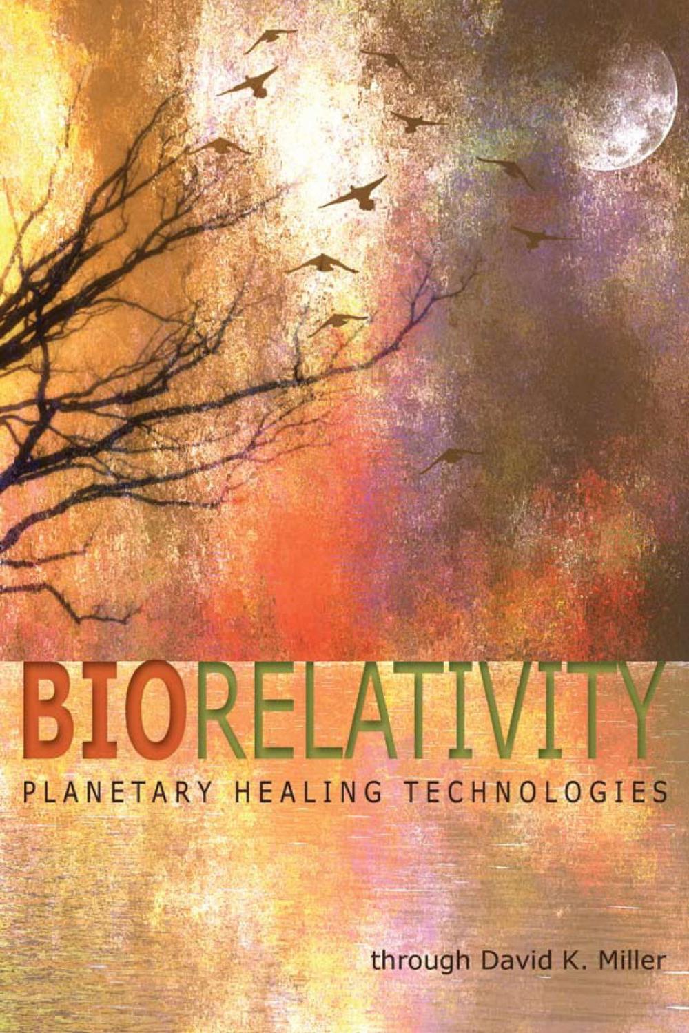 Big bigCover of Biorelativity