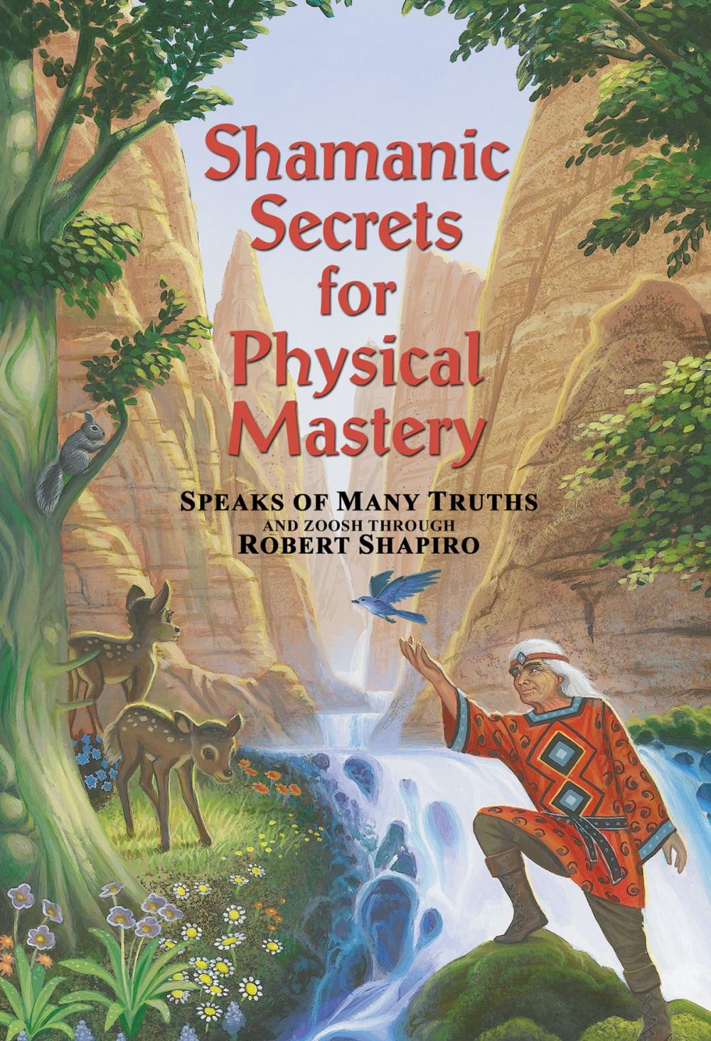 Big bigCover of Shamanic Secrets for Physical Mastery