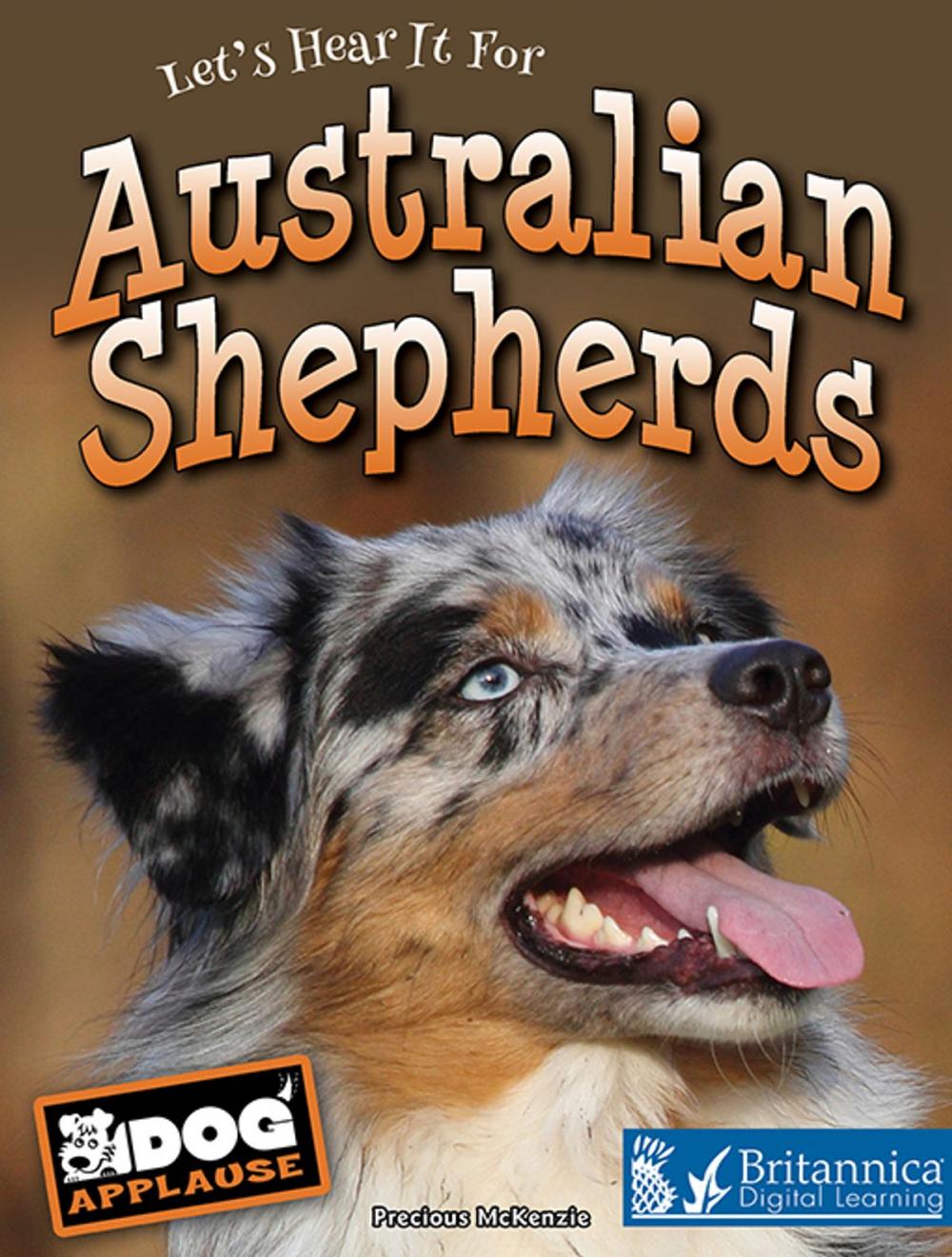 Big bigCover of Australian Shepherds