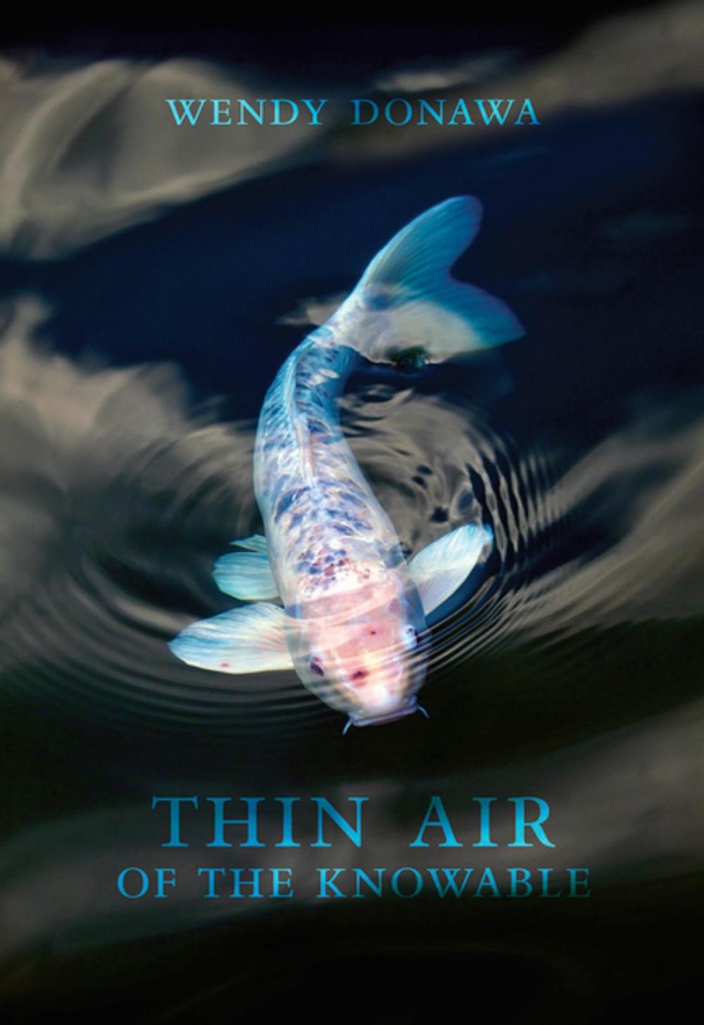 Big bigCover of Thin Air of the Knowable