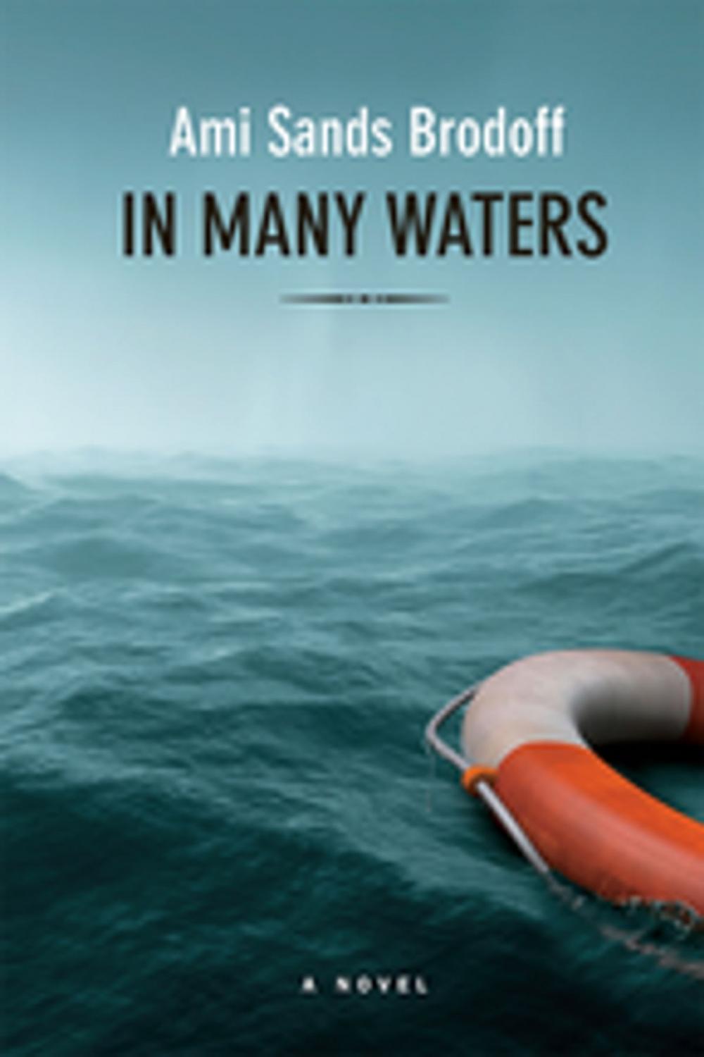Big bigCover of In Many Waters