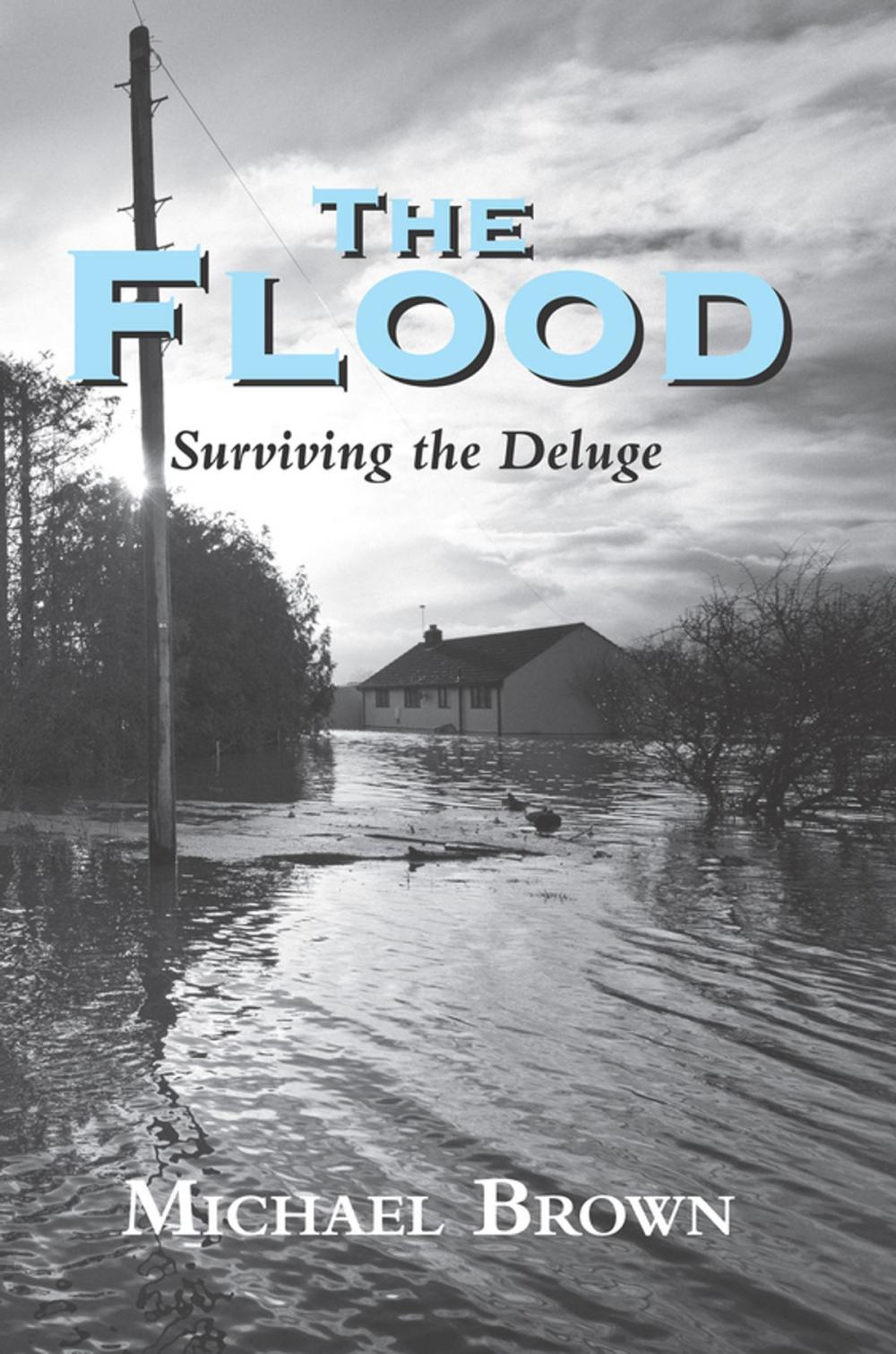 Big bigCover of The Flood