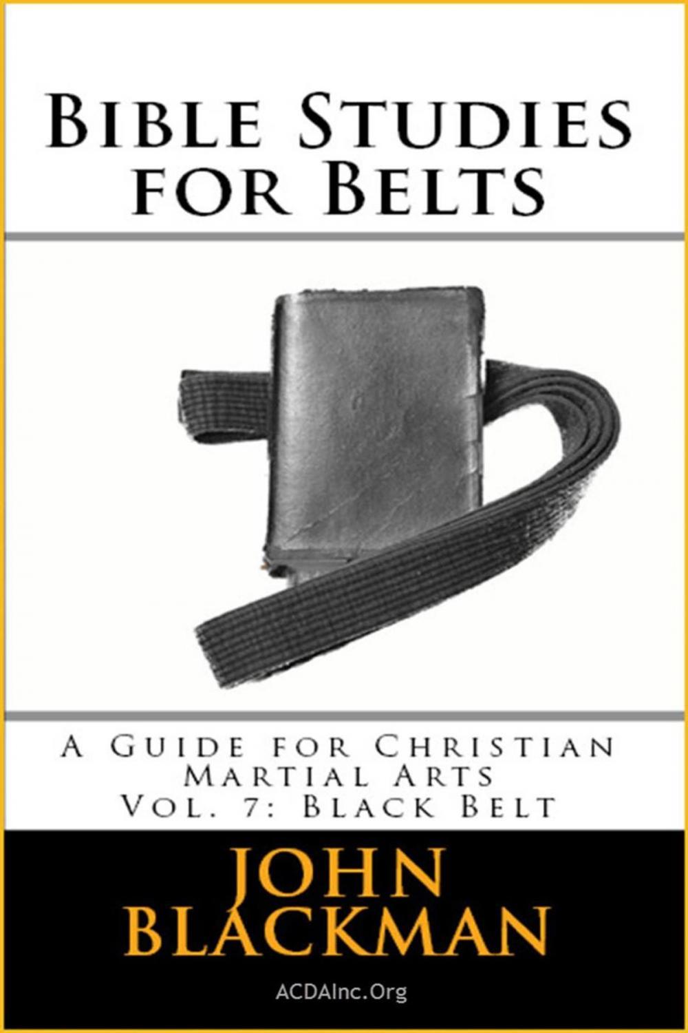 Big bigCover of Bible Studies for Belts: A Guide for Christian Martial Arts Vol. 7: Black Belt