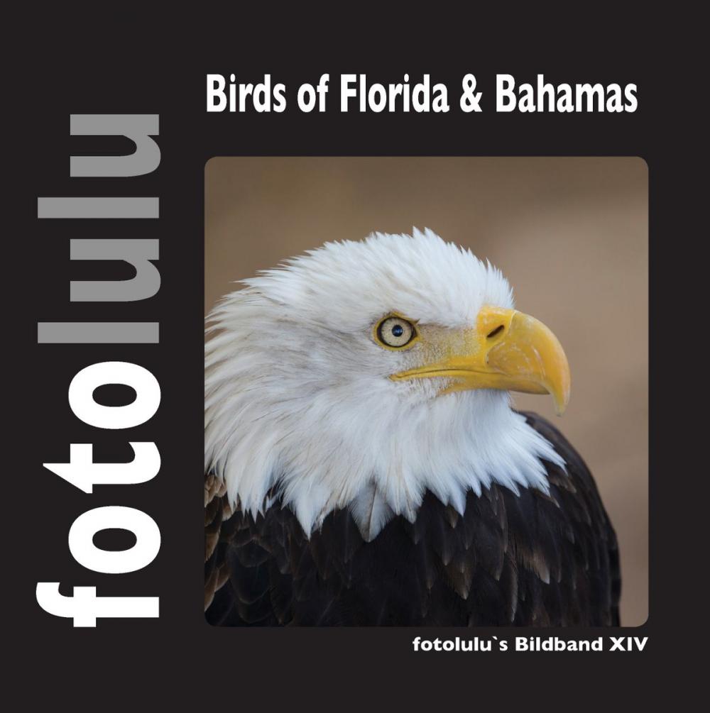 Big bigCover of Birds of Florida & Bahamas