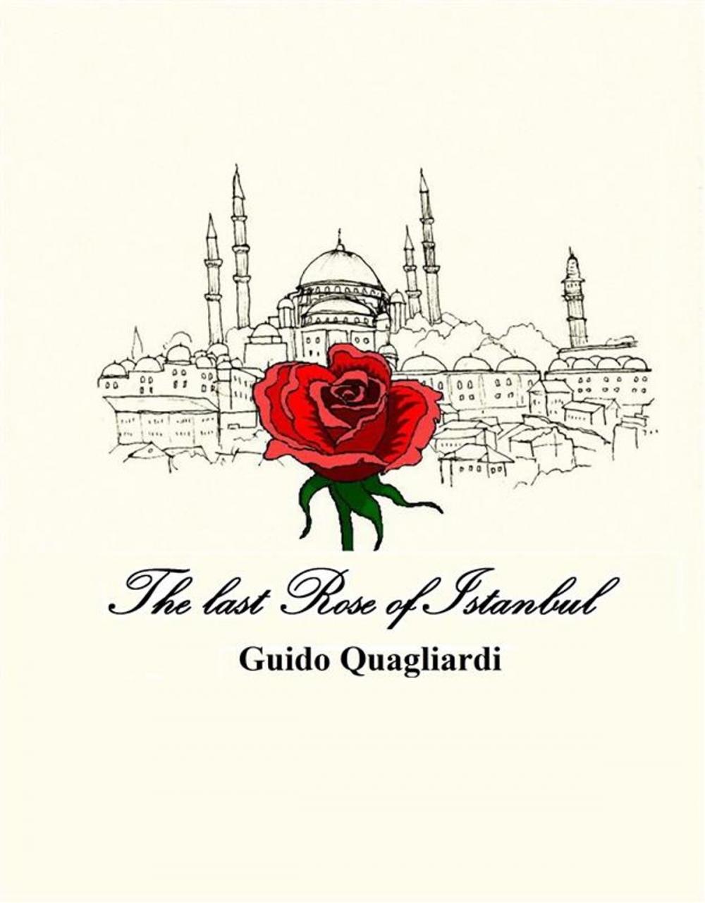 Big bigCover of The last Rose of Istanbul