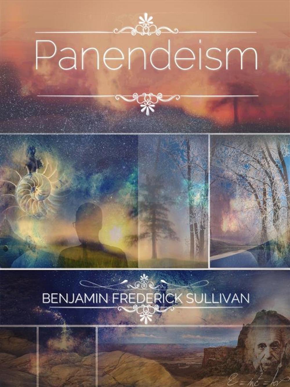 Big bigCover of The Panendeism Treatise