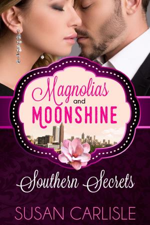 Book cover of Southern Secrets