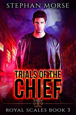 Book cover of Trials of the Chief