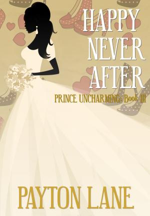 bigCover of the book Happy Never After by 
