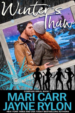 Cover of the book Winter's Thaw by Kristen James