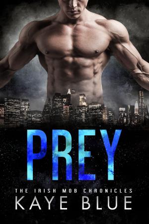 Cover of the book Prey by Drew Jordan