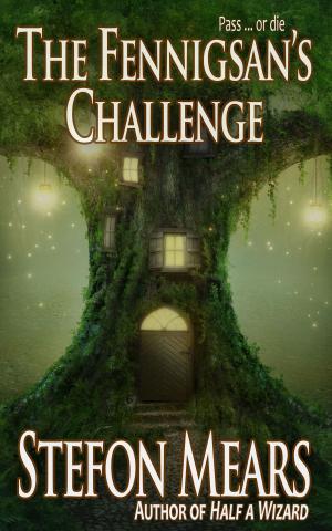 Cover of the book The Fennigsan's Challenge by Stefon Mears