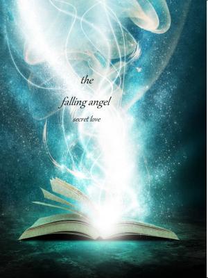 bigCover of the book the falling angel secret love by 