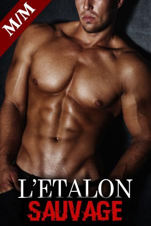 Cover of the book L'Etalon Sauvage Vol. 3 by Jinah Miles