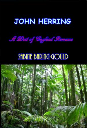 Cover of the book John Herring by John Blaine